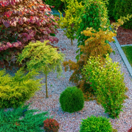 Paysagiste Deux-sèvres